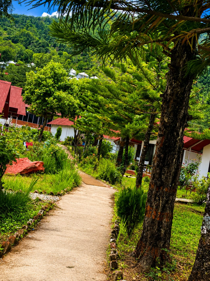chardham resort guptakashi