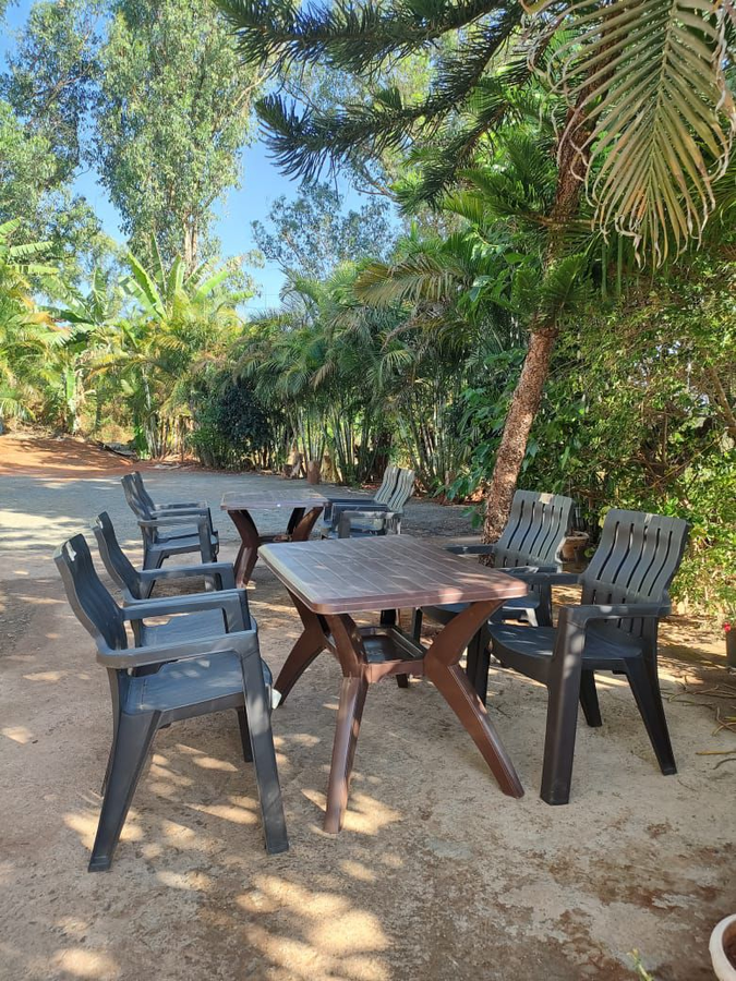 green leaf mini resort
