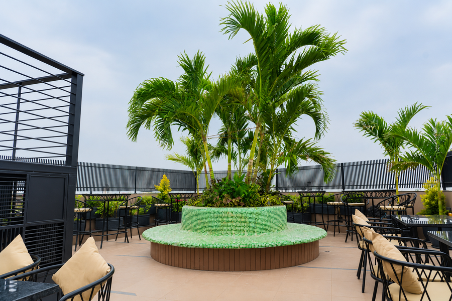 the avenor hotel in mansarovar near jaipur airport