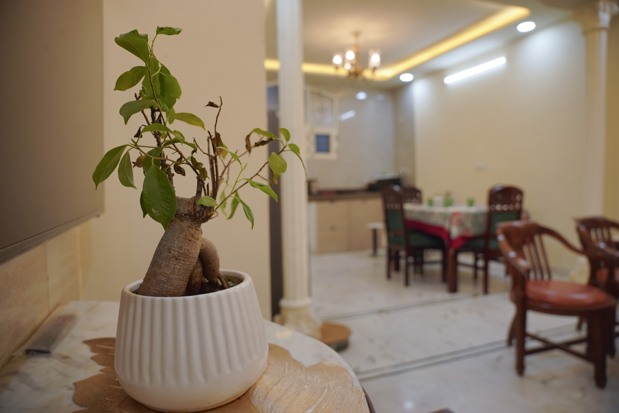 the quiet haven 2bhk villa