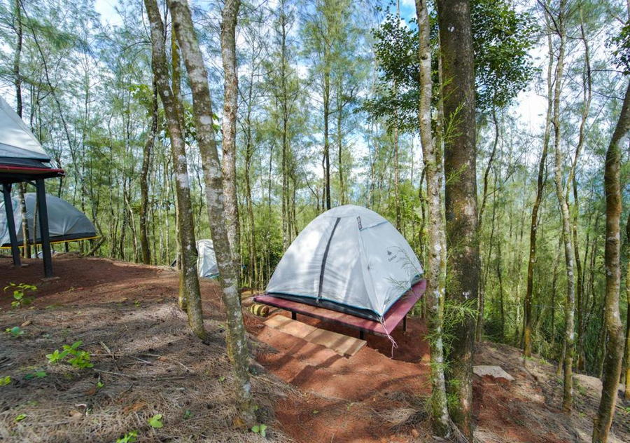 whispeing hills pine malhar by voye homes
