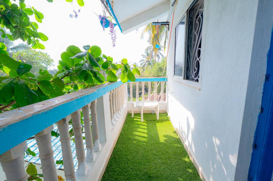 viik wellness inn 3 star resort in arambol beach
