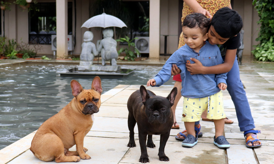 manas resort with petting zoo