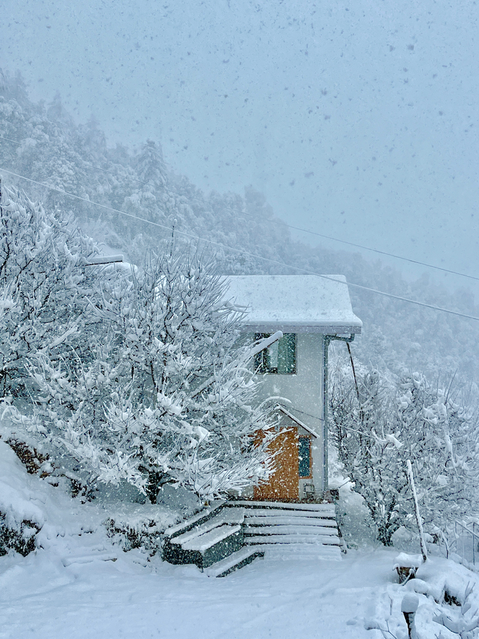 orchard valley resort
