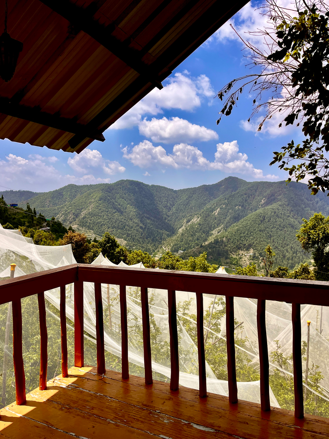 orchard valley resort