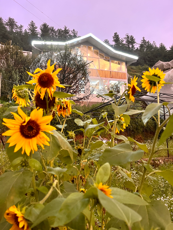 orchard valley resort