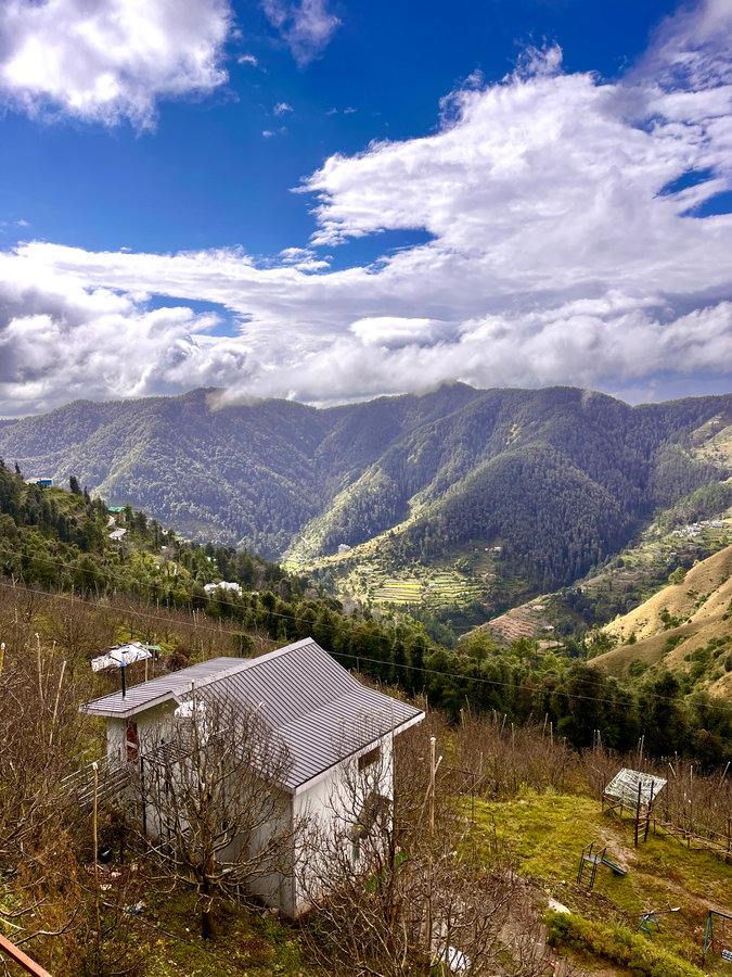 orchard valley resort
