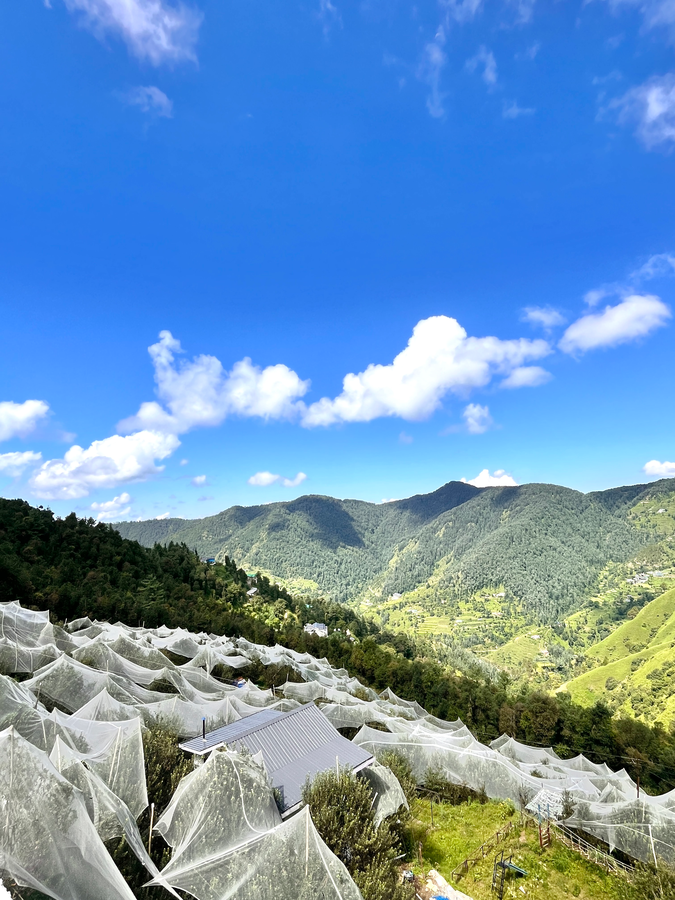orchard valley resort