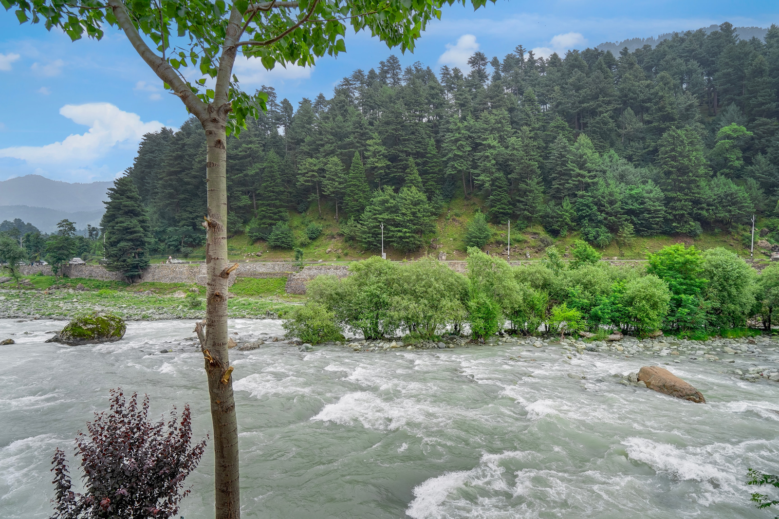 dancenter riverside lexus regency pahalgam