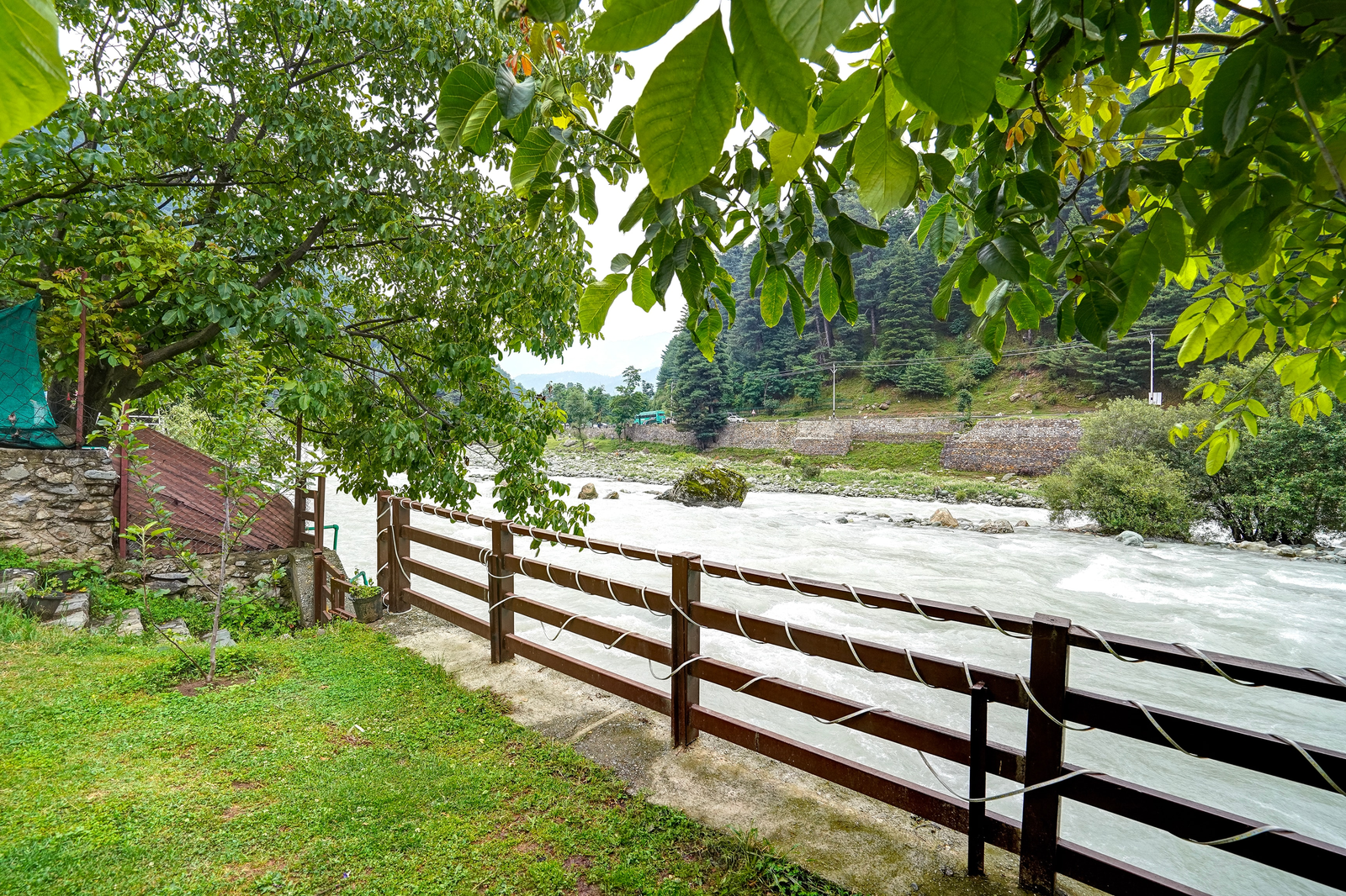 dancenter riverside lexus regency pahalgam