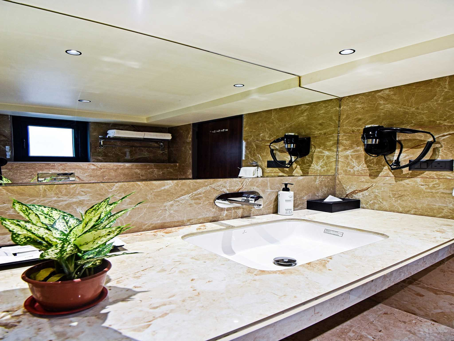 palette shrinivas suites baner pune
