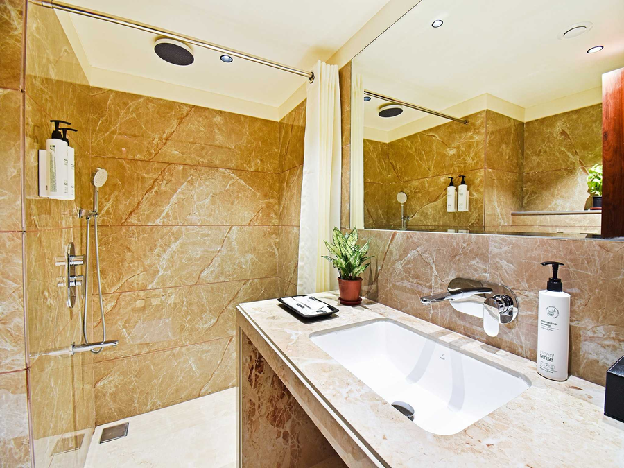 palette shrinivas suites baner pune