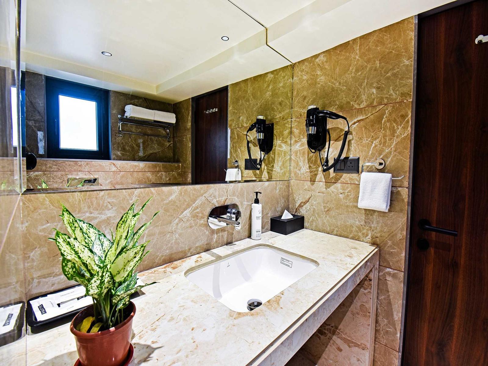 palette shrinivas suites baner pune