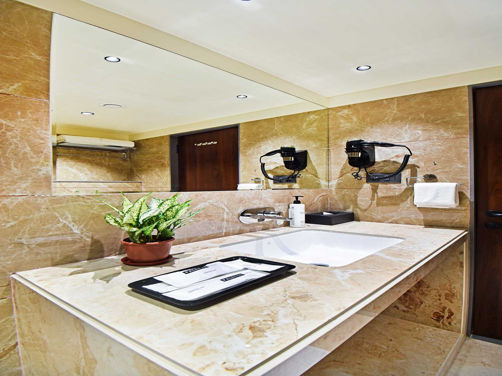 palette shrinivas suites baner pune