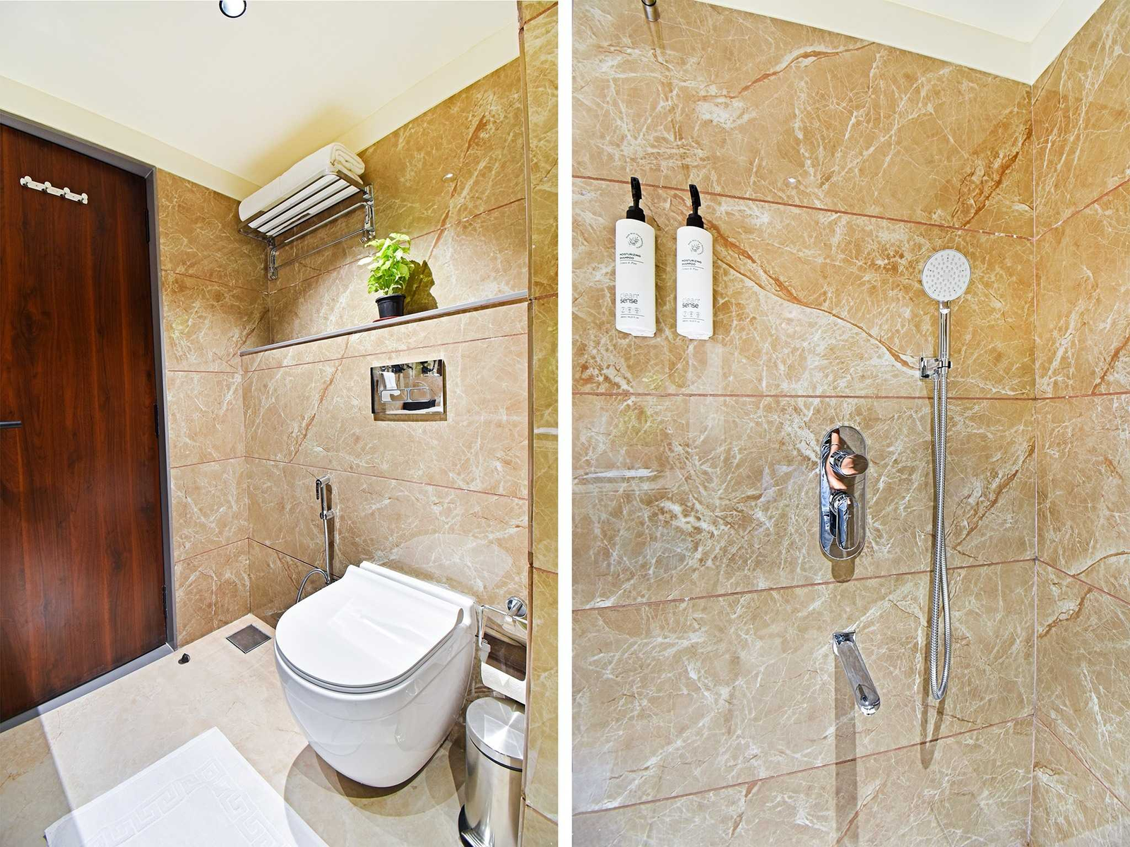 palette shrinivas suites baner pune