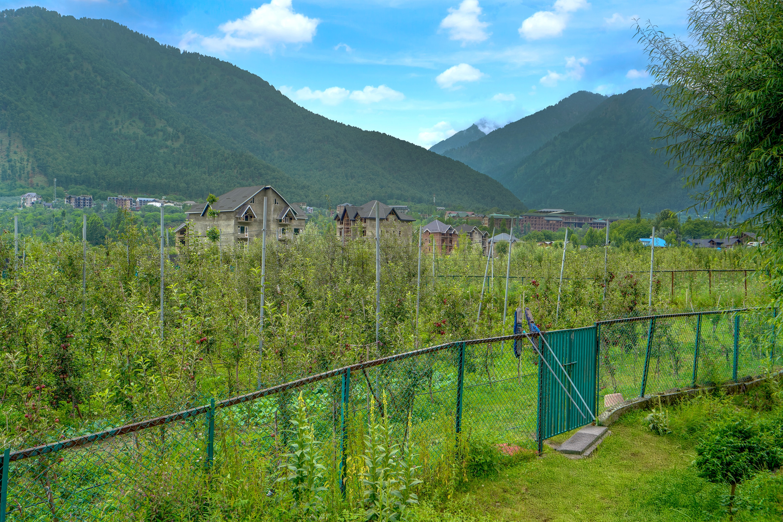 palette hotel regency valley view pahalgam