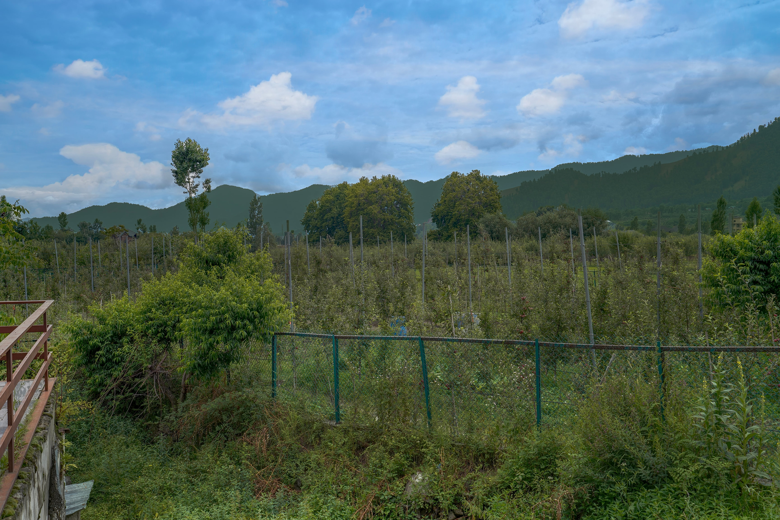 Palette Hotel Regency Valley View Pahalgam,,4 star