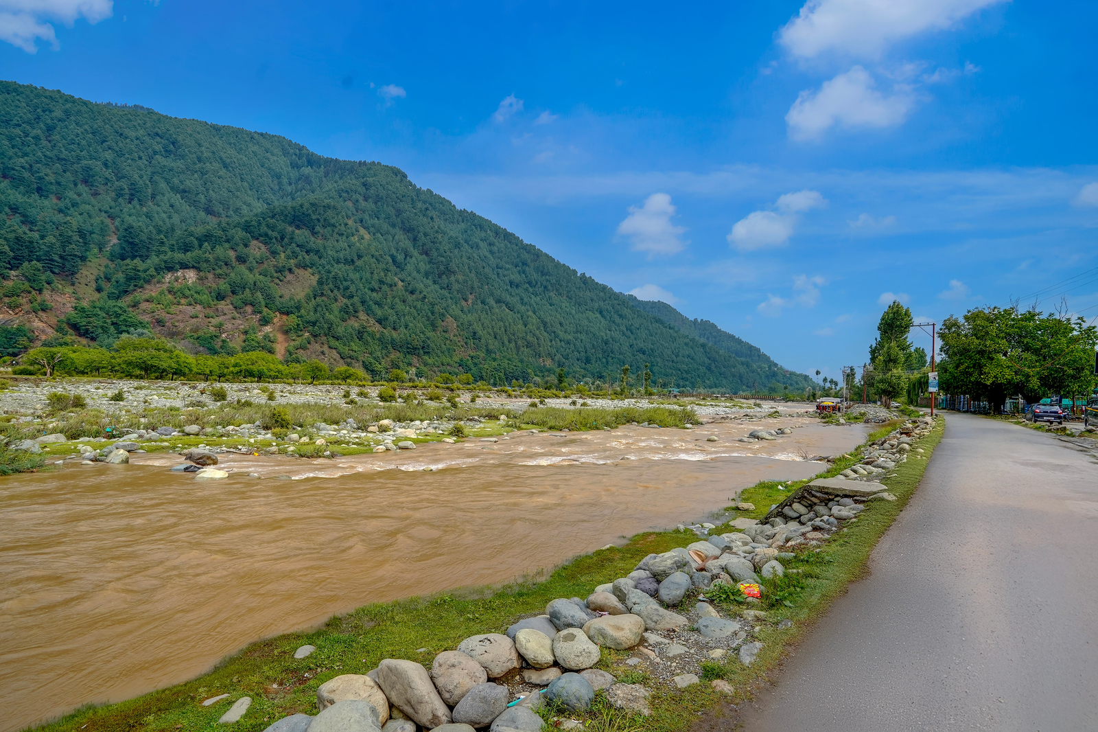 Palette Hotel Regency Valley View Pahalgam,,4 star