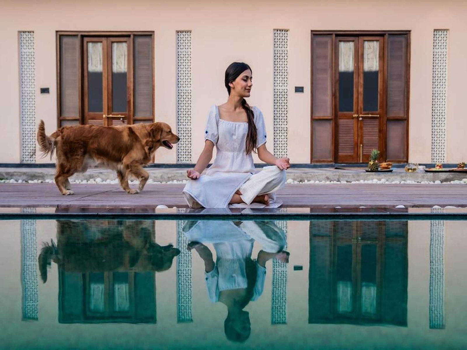 dancenter parijat villas and suites udaipur