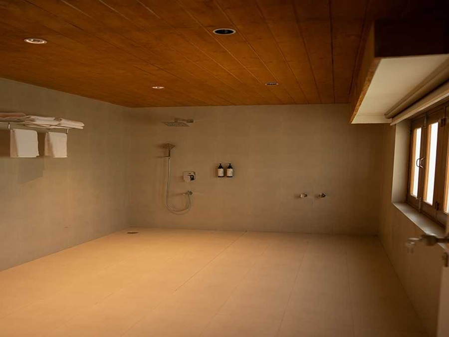 dancenter parijat villas and suites udaipur