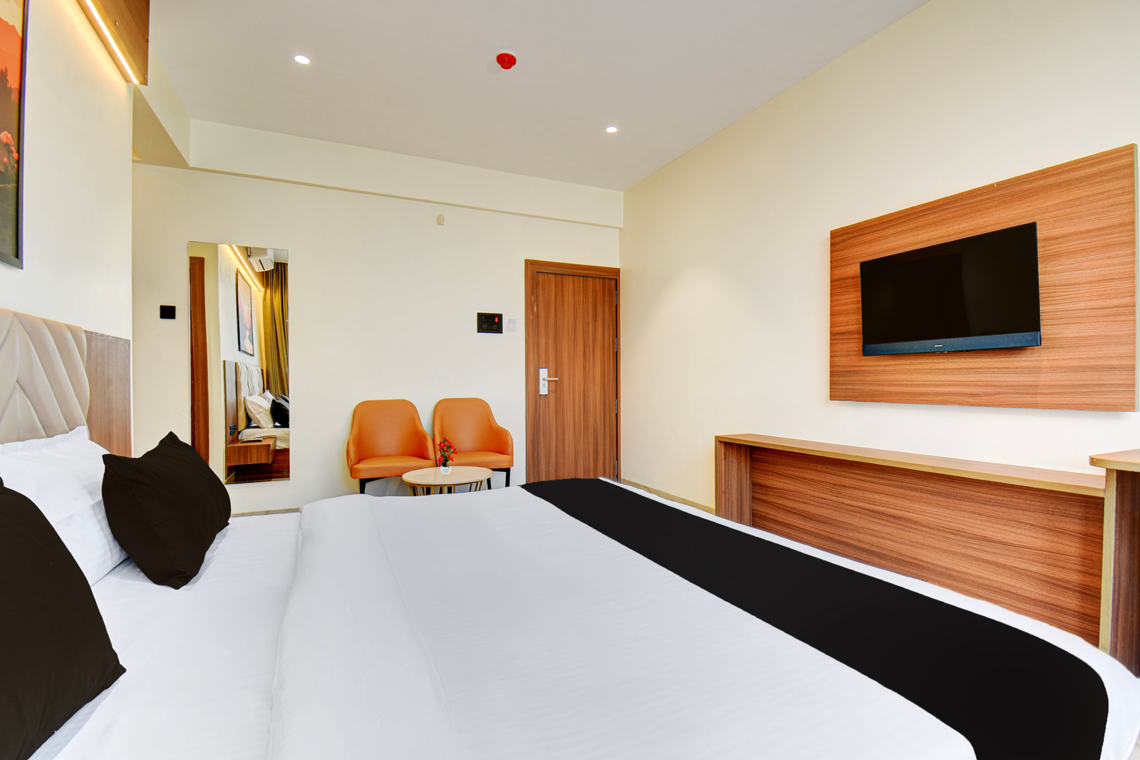 palette hotel chakana k9