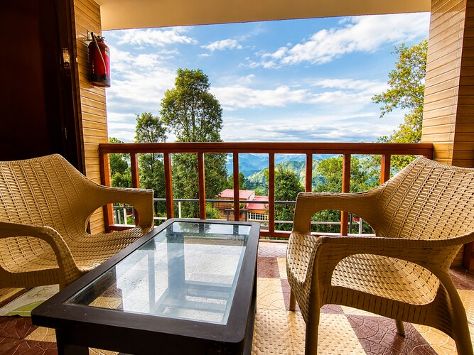 hotel hill top forest palace