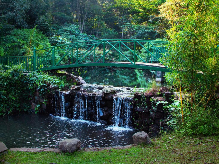 the tamara coorg
