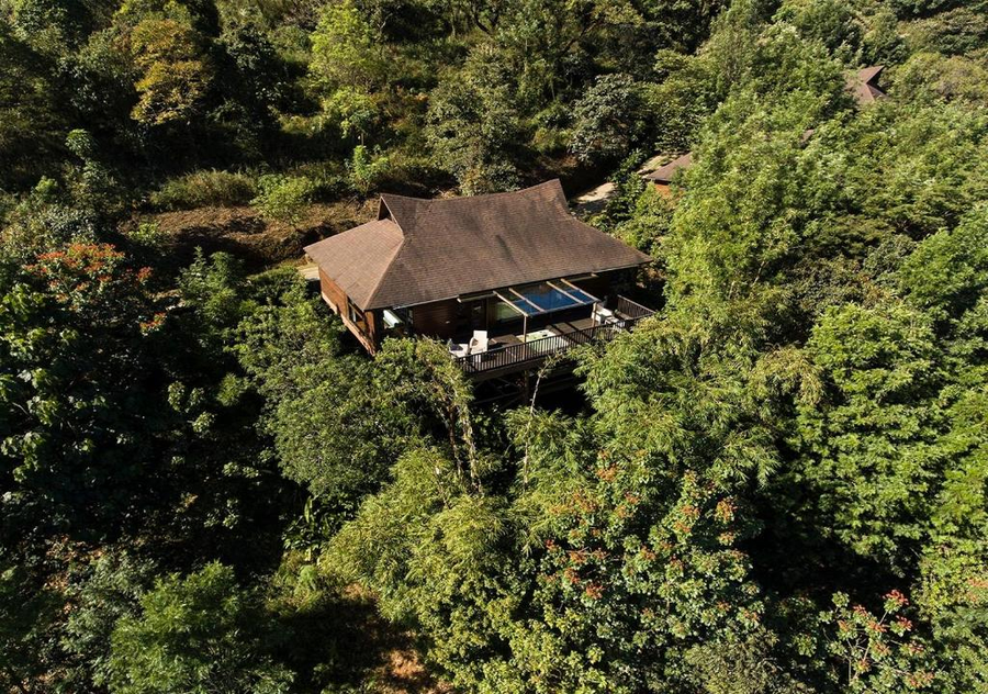 the tamara coorg