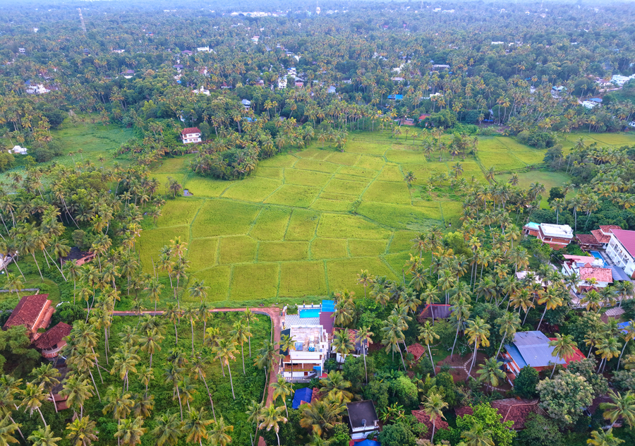 verdant view beach resort by voye homes
