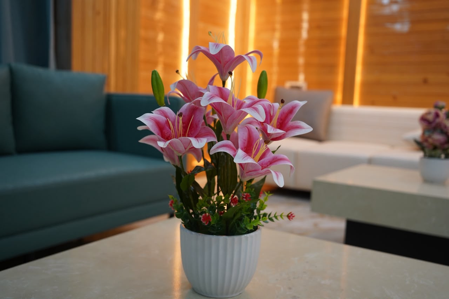 hotel tashi khangzang