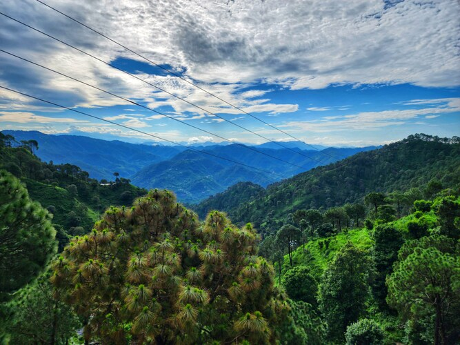 wonder inn kasauli