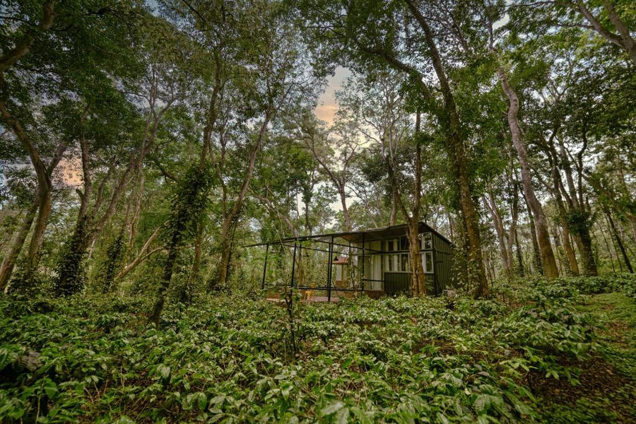 cove by raho nestled away retreat