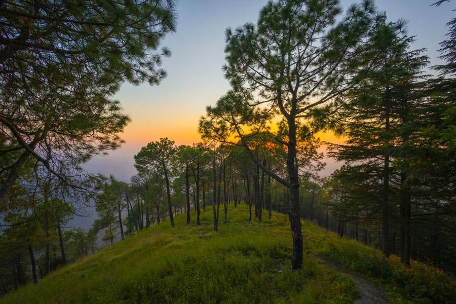 Hemkunj Petal By Alaya Stays,,4 star