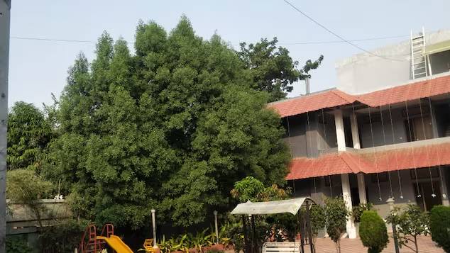 The Moonlight Resort Indore,,3 star