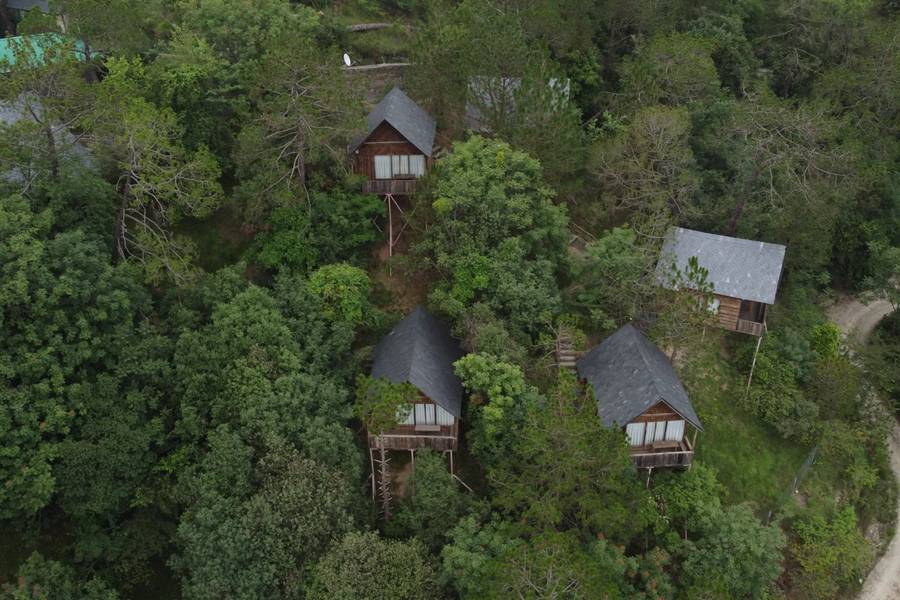 alaya stays cottage with tree house suro woodbine chalet