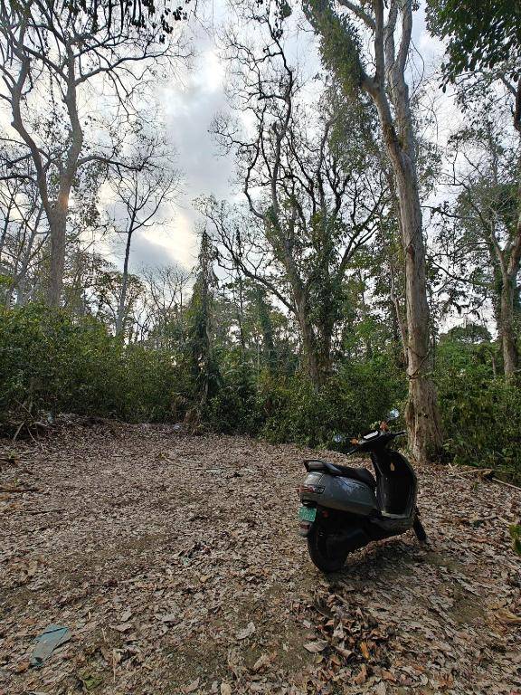 Yogu's Woodside,Rangat,2 star
