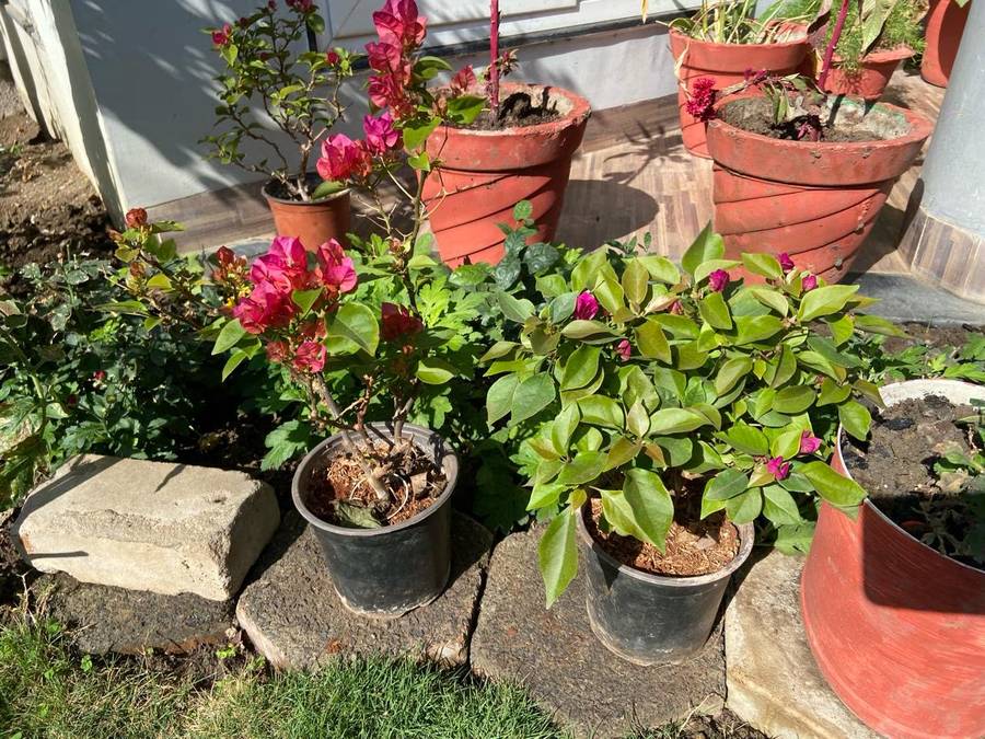 Shrivardhan Homestay,Vijay Nagar,3 star