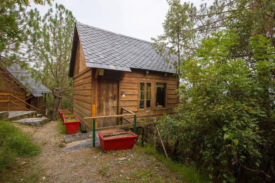 alaya stays cottage with tree house suro woodbine chalet