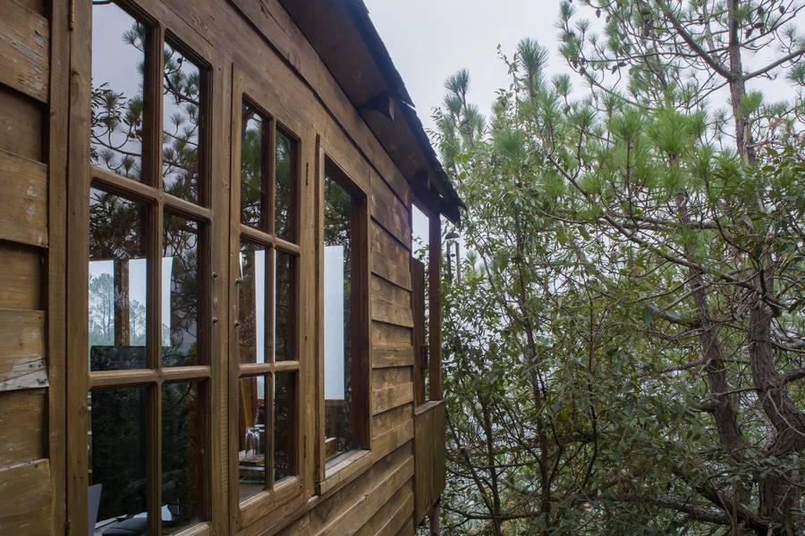 alaya stays cottage with tree house suro woodbine chalet