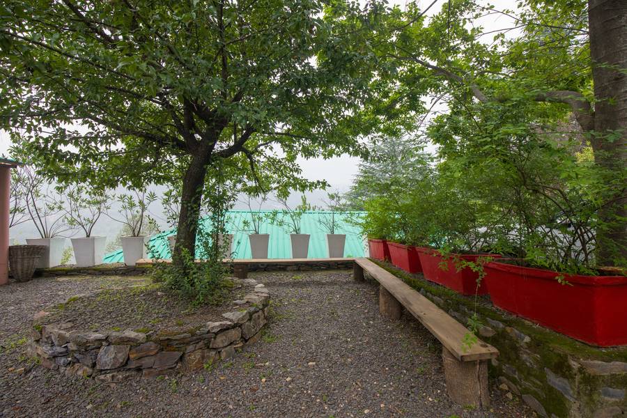 alaya stays cottage with tree house suro woodbine chalet