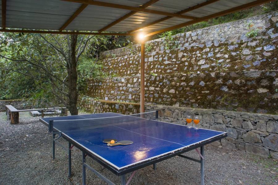 alaya stays cottage with tree house suro woodbine chalet