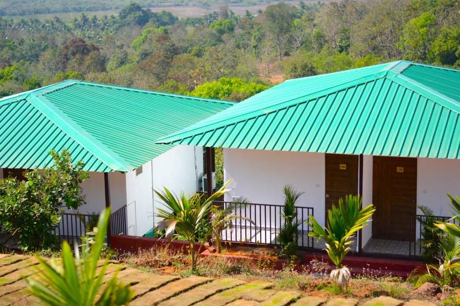 goa