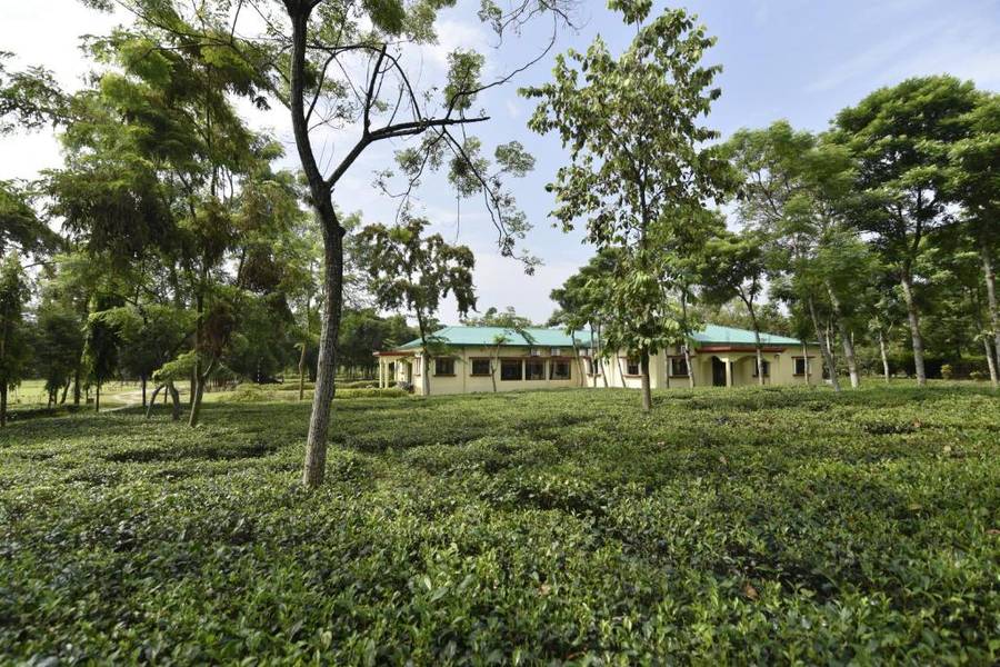 Sawasstika Eco Park Resort surrounded by greenery