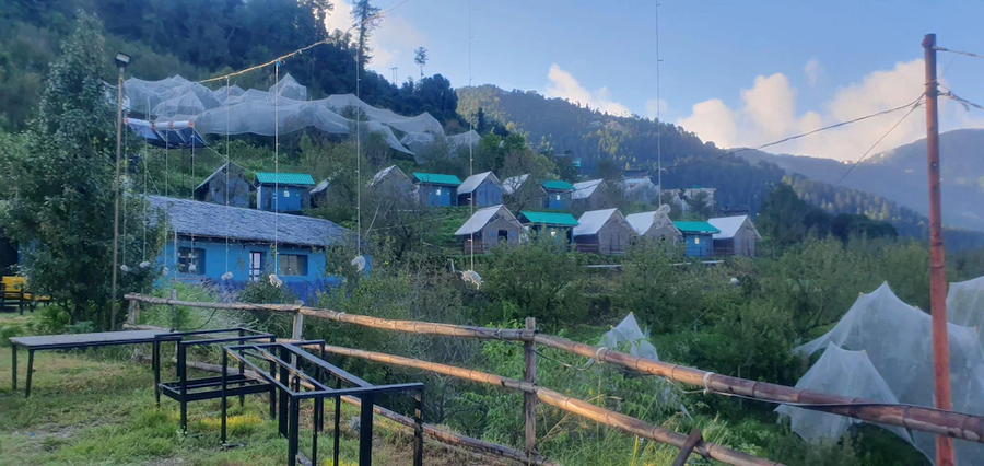 Apple Retreat Resort,Kufri,3 star