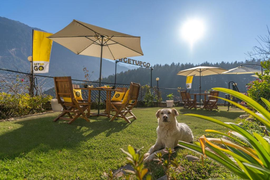 the hosteller manali old manali