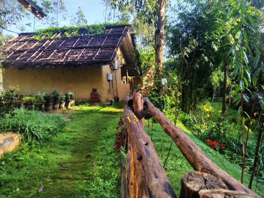 Anandavana Jungle Living By Lexstays - Kanthalloor-Marayur,Kanthalloor,3 star