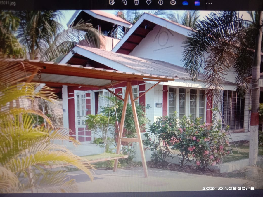 madhuson palms