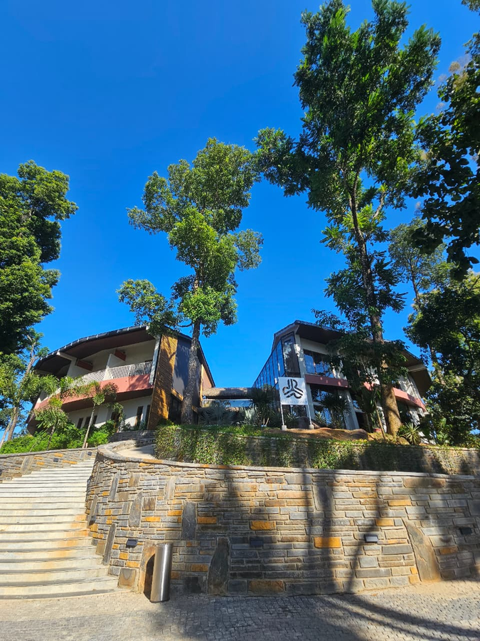 kaziranga