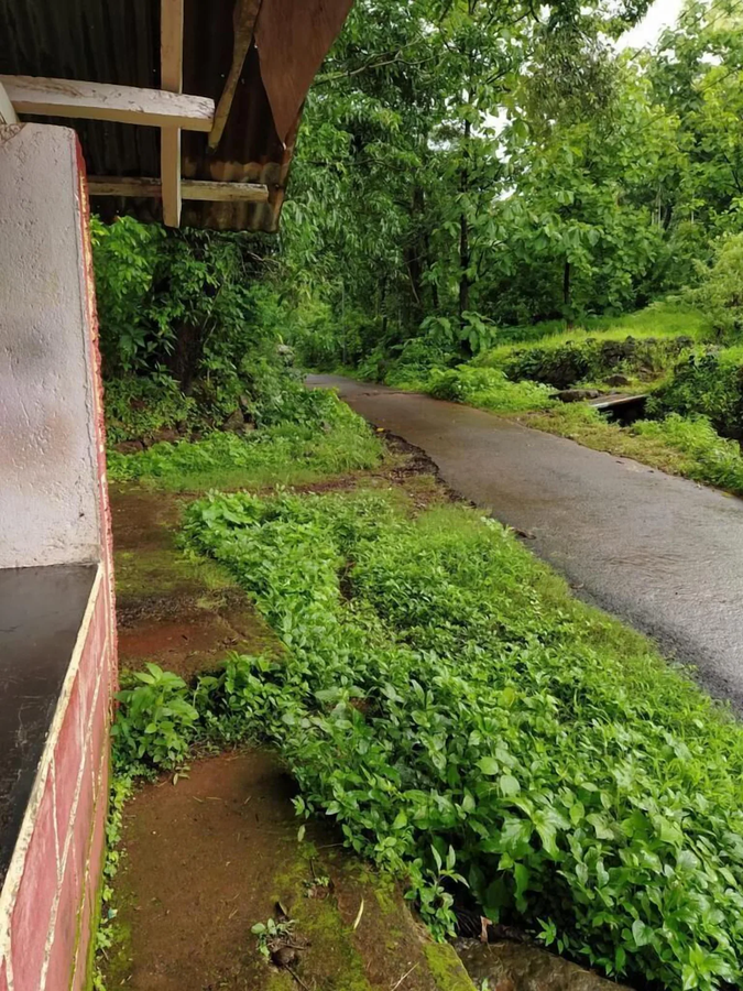 Green Breeze Resort,,2 star