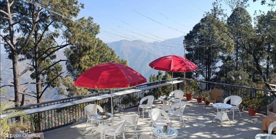forest breeze resort